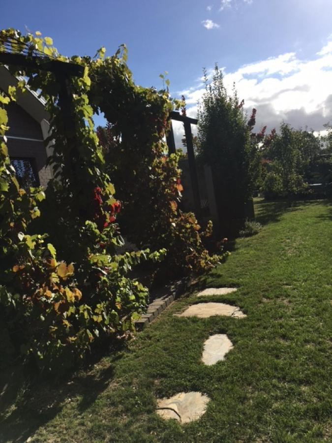 A'Meadow Bed & Breakfast Trentham Luaran gambar